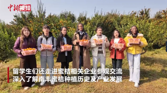 ���M��W�����M������۶��� ��ժ��������Ʒ��